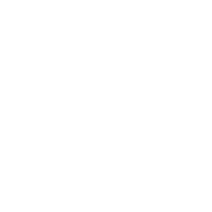 Hvidt logo Jysk Børneforsorg